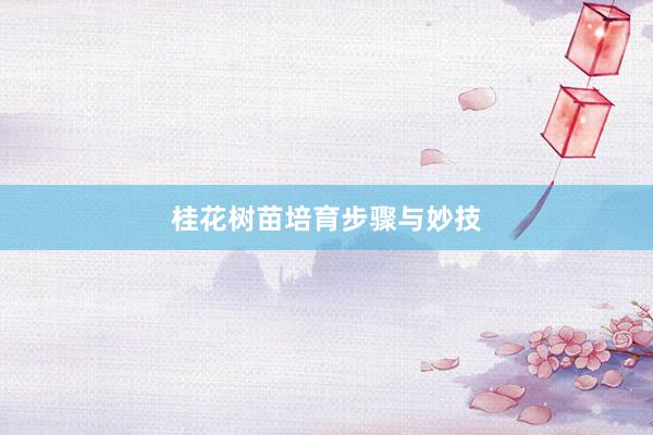 桂花树苗培育步骤与妙技