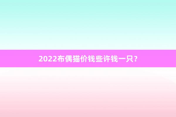 2022布偶猫价钱些许钱一只？