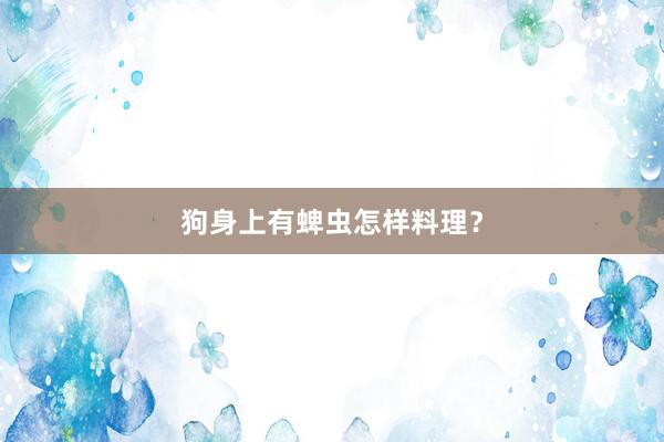 狗身上有蜱虫怎样料理？